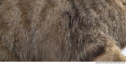 Fur